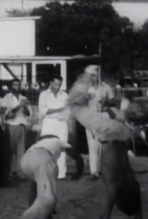 Captura de tela 2026-06-14 195914